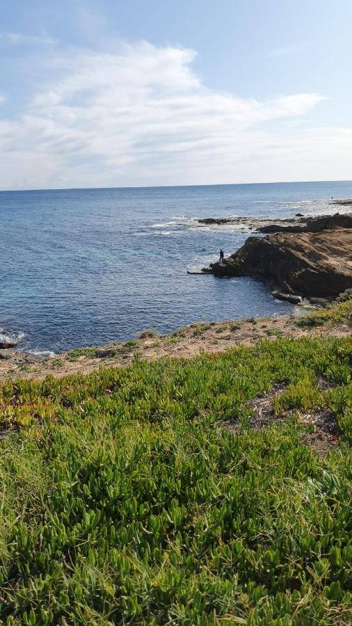 Sunny Apartament Near La Mata Beach トレビエハ エクステリア 写真