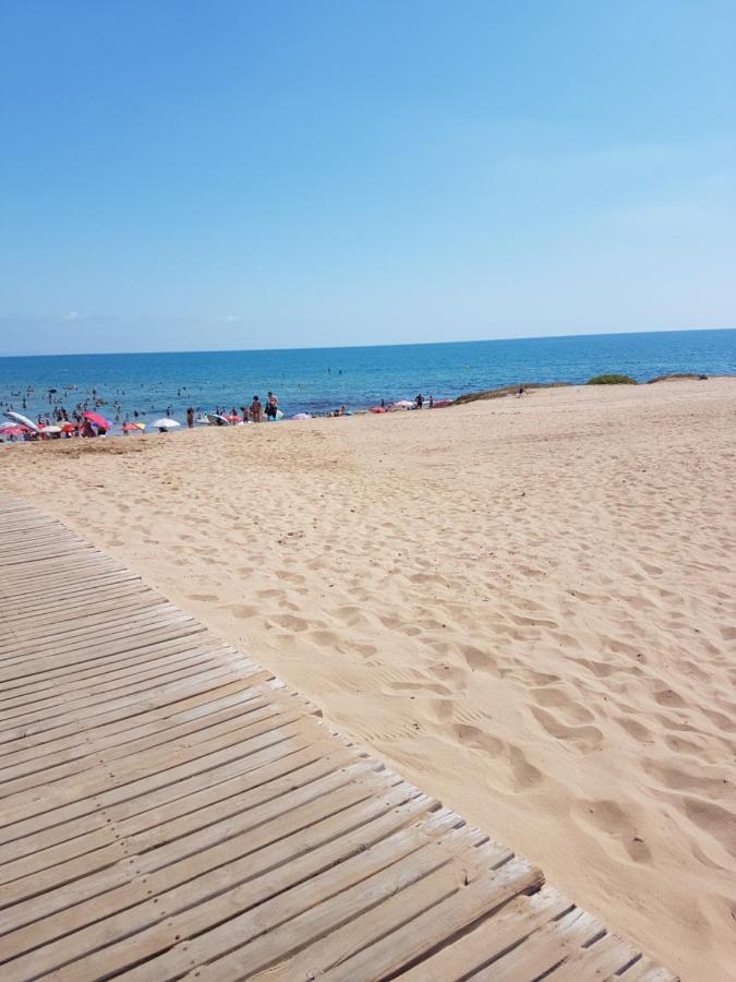 Sunny Apartament Near La Mata Beach トレビエハ エクステリア 写真